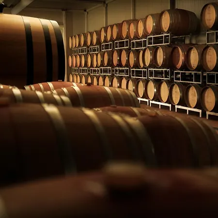 Κατάλυμα σε φάρμα Borgo Montemaggiore *