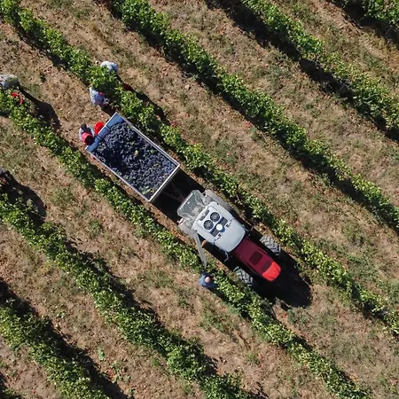 Borgo Montemaggiore * Rapolano Terme