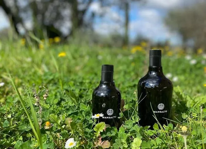 Borgo Montemaggiore * Rapolano Terme