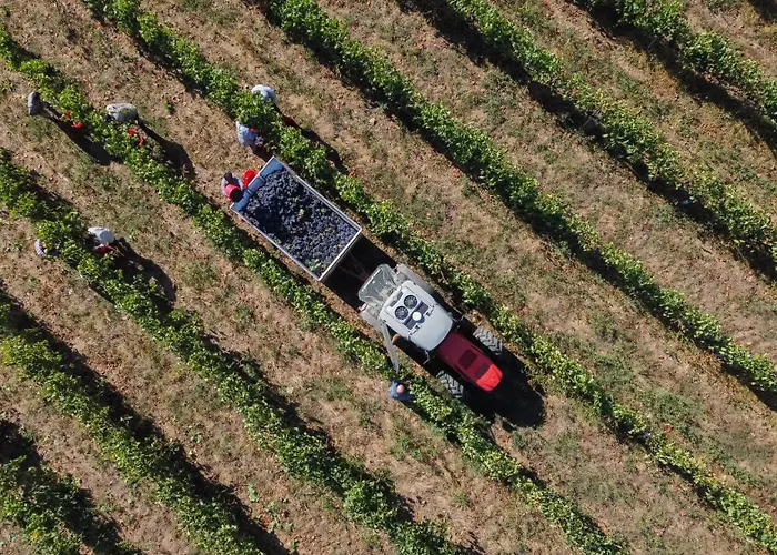 Borgo Montemaggiore * Rapolano Terme